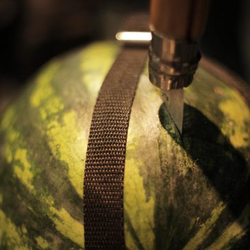 MELONS, TRUCKS & ANGRY DOGS – dokument rowerowy